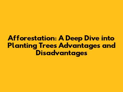 Afforestation: A Deep Dive into Planting Trees' Advantages and Disadvantages
