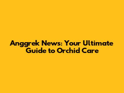 Anggrek News: Your Ultimate Guide to Orchid Care