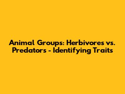 Animal Groups: Herbivores vs. Predators - Identifying Traits