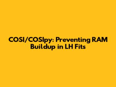COSI/COSIpy: Preventing RAM Buildup in LH Fits