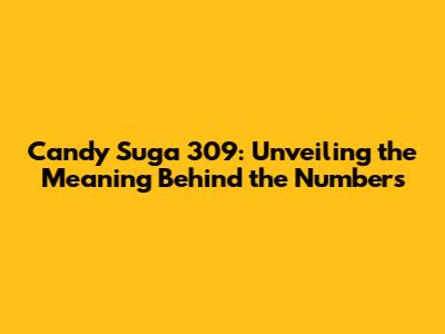 Candy Suga 309: Unveiling the Meaning Behind the Numbers