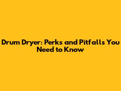 Drum Dryer: Perks and Pitfalls You Need to Know
