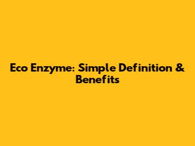 Eco Enzyme: Simple Definition & Benefits