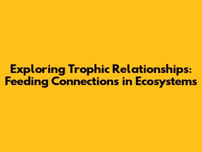 Exploring Trophic Relationships: Feeding Connections in Ecosystems