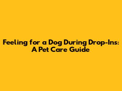 Feeling for a Dog During Drop-Ins: A Pet Care Guide