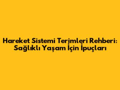 Hareket Sistemi Terimleri Rehberi: Sağlıklı Yaşam İçin İpuçları