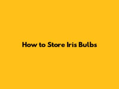 How to Store Iris Bulbs