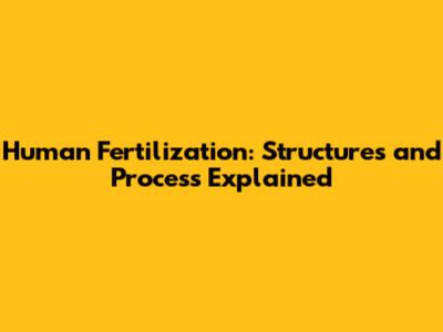 Human Fertilization: Structures and Process Explained
