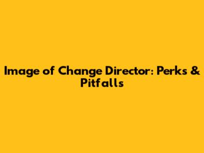 Image of Change Director: Perks & Pitfalls