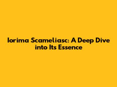 Iorima Scameliasc: A Deep Dive into Its Essence