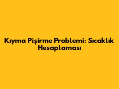 Kıyma Pişirme Problemi: Sıcaklık Hesaplaması