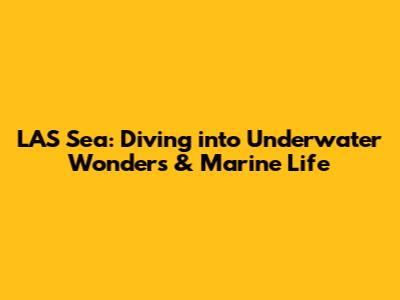 LAS Sea: Diving into Underwater Wonders & Marine Life