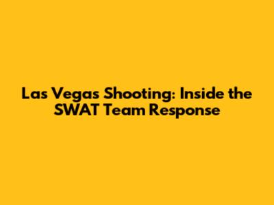 Las Vegas Shooting: Inside the SWAT Team Response