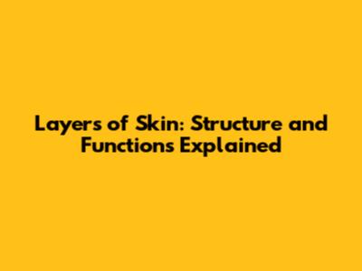 Layers of Skin: Structure and Functions Explained