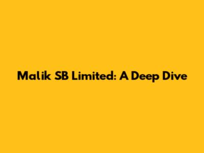 Malik SB Limited: A Deep Dive