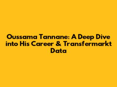 Oussama Tannane: A Deep Dive into His Career & Transfermarkt Data