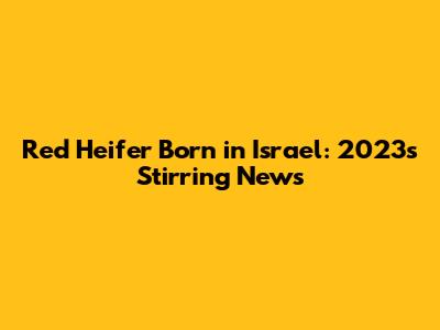 Red Heifer Born in Israel: 2023's Stirring News