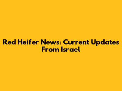 Red Heifer News: Current Updates From Israel