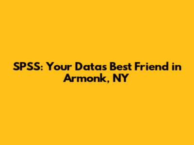 SPSS: Your Data's Best Friend in Armonk, NY