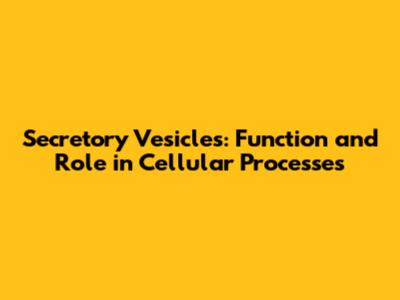 Secretory Vesicles: Function and Role in Cellular Processes