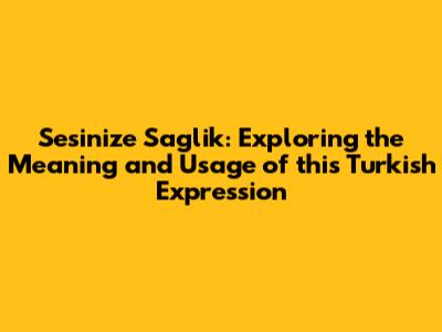Sesinize Saglik: Exploring the Meaning and Usage of this Turkish Expression