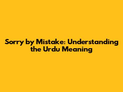 Sorry by Mistake: Understanding the Urdu Meaning