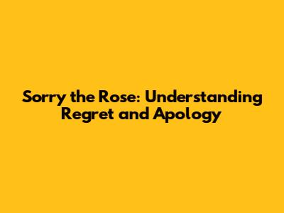 Sorry the Rose: Understanding Regret and Apology