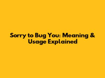 Sorry to Bug You: Meaning & Usage Explained
