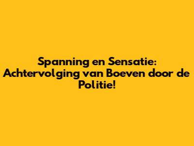 Spanning en Sensatie: Achtervolging van Boeven door de Politie!
