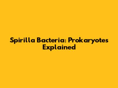 Spirilla Bacteria: Prokaryotes Explained