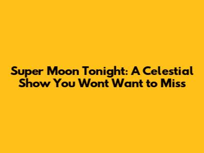 Super Moon Tonight: A Celestial Show You Won't Want to Miss