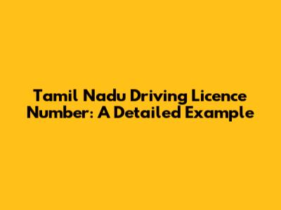 Tamil Nadu Driving Licence Number: A Detailed Example