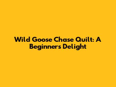 Wild Goose Chase Quilt: A Beginner's Delight