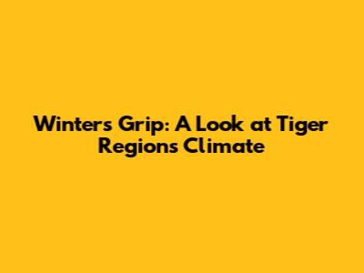 Winter's Grip: A Look at Tiger Region's Climate