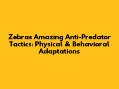 Zebras' Amazing Anti-Predator Tactics: Physical & Behavioral Adaptations